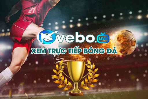 Giới thiệu về Vebo