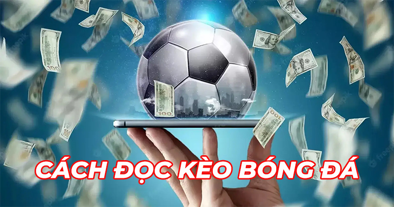 Cách soi kèo bóng đá Pháp (Ligue 1) hiệu quả