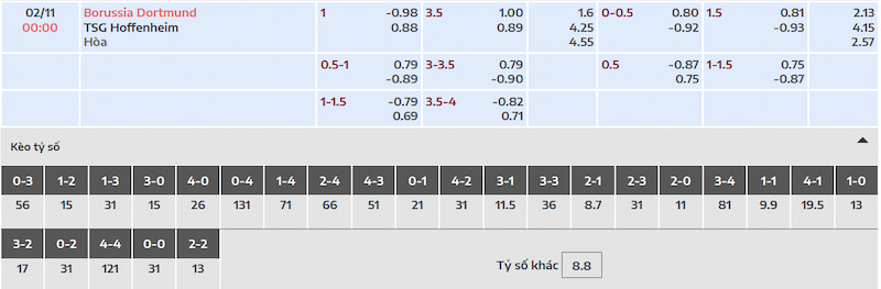 Tỷ lệ kèo của trận đấu Dortmund vs Hoffenheim